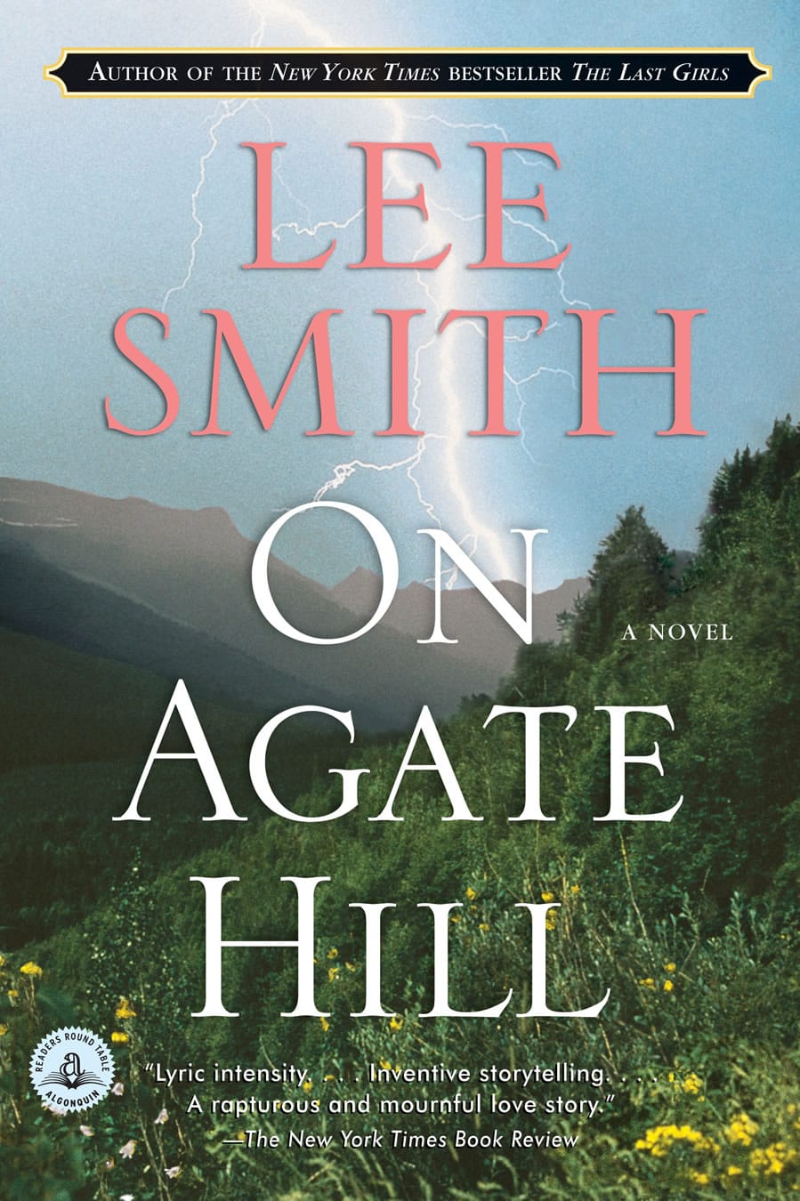 Who Killed Jacky Jarvis On Agate Hill by Lee Smith Essay