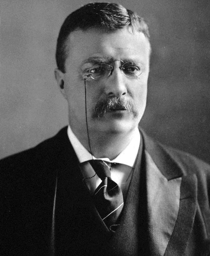 Essay on President Theodore Roosevelt