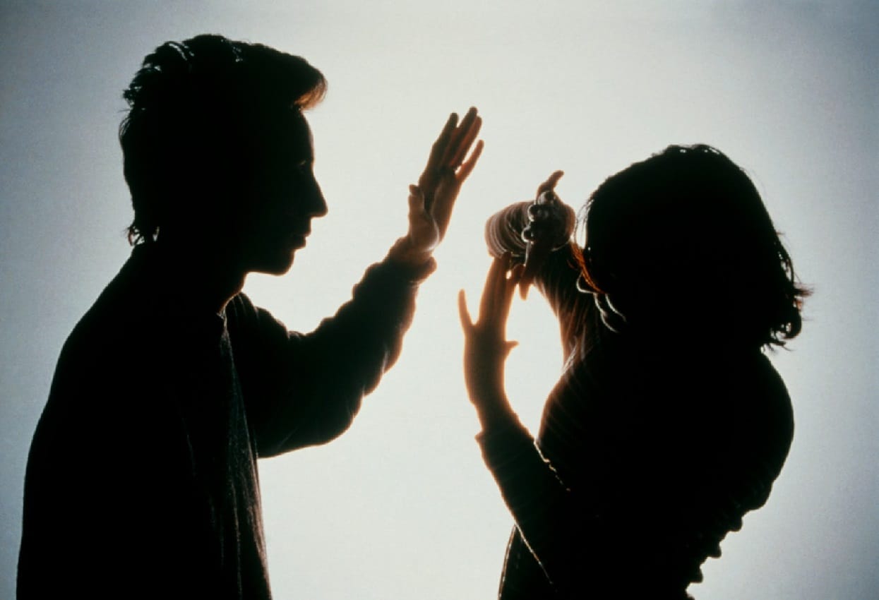 Essay on The Nature of Violence in Cronenberg’s Film The History of Violence