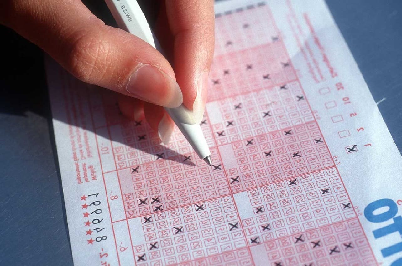 The lottery essay