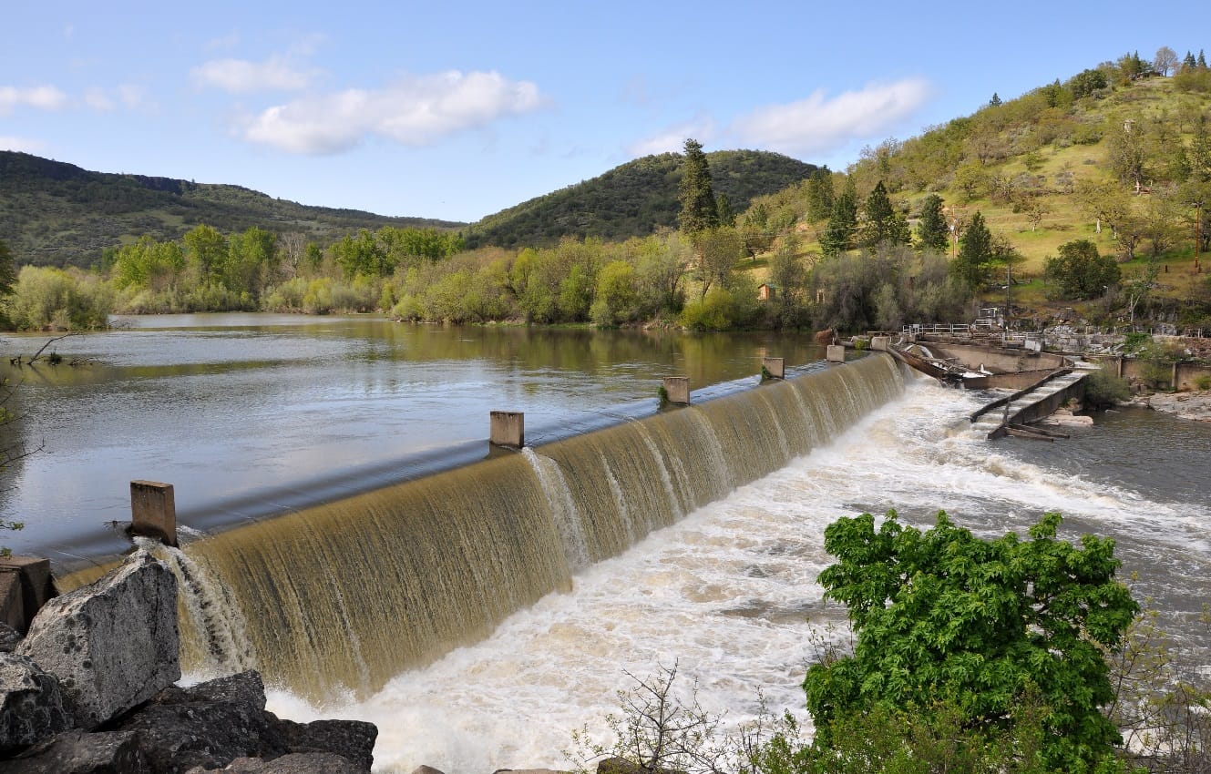 Effects of Dams on Pacific Salmon Migration in the US essay