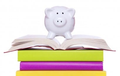 Essay on Computer Literacy: Identity Theft