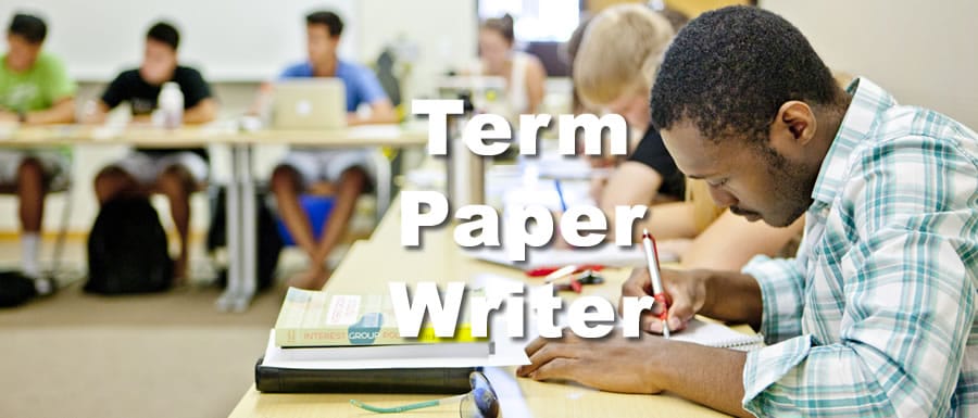 term-paper-writer