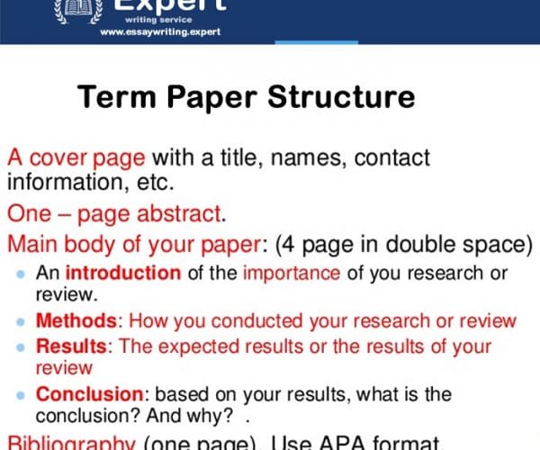 Term paper structure