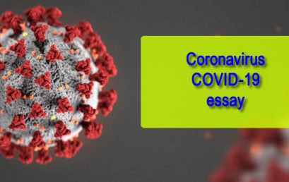 Coronavirus COVID-19 essay