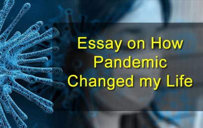 2020 how pandemic changed my life essay