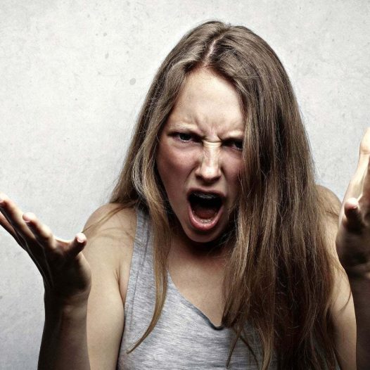 Psychology of aggression essay